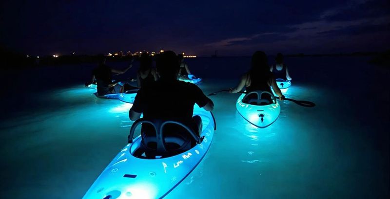 Bioluminescent Night Kayaking