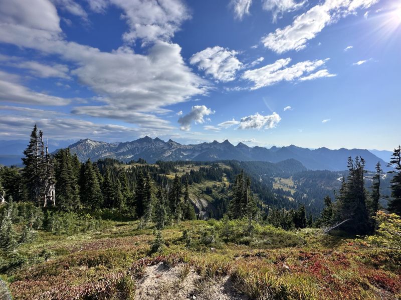 Nature Escapes Within 30 Minutes of Downtown