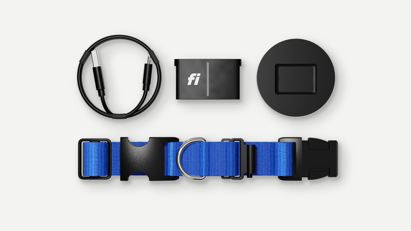 Fi Series 3 Smart Collar