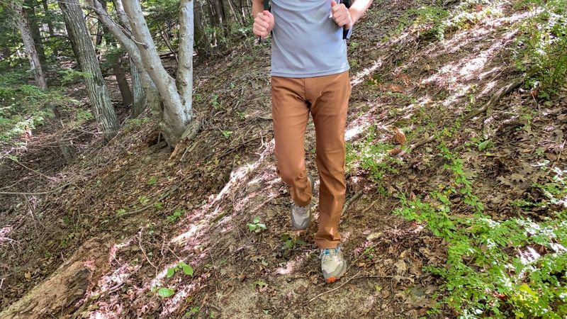 PrAna Brion Pants