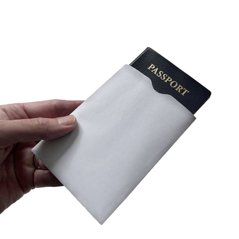 RFID-Blocking Wallets and Sleeves (Optional)
