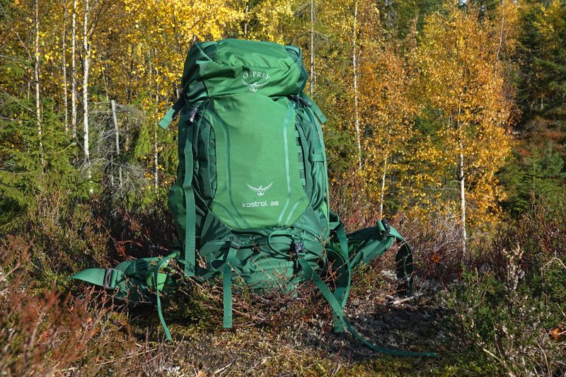 Osprey Kestrel 38L