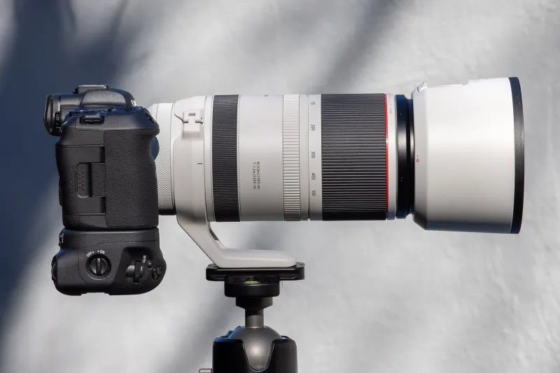 Canon EOS R5 + 100-500mm Lens