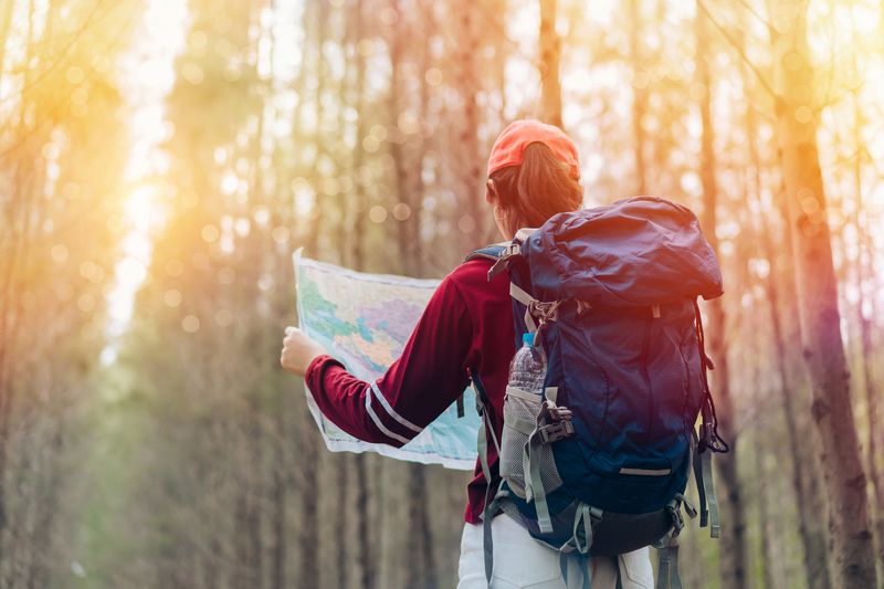 Getting Lost in the Wilderness