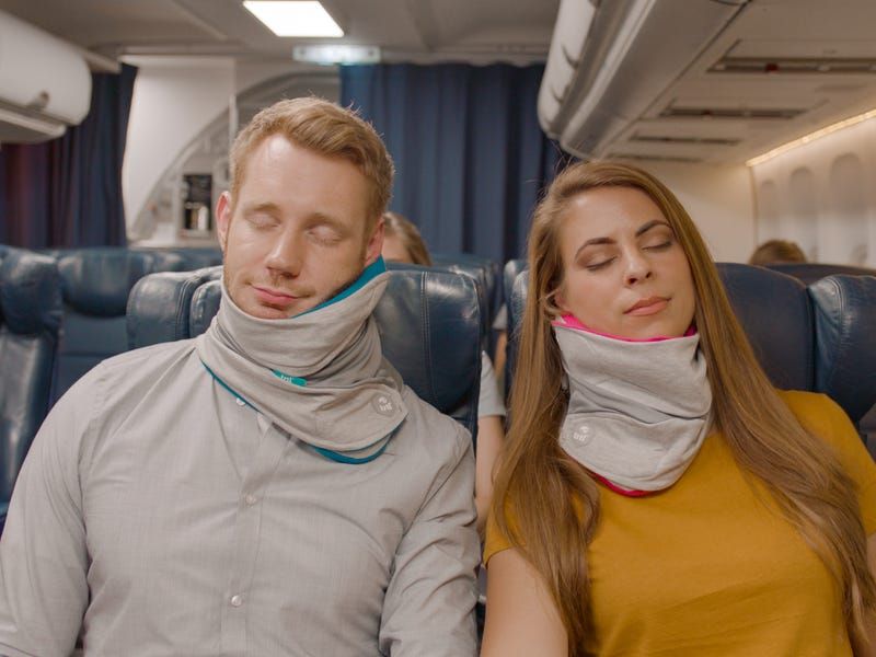 Trtl Pillow Plus