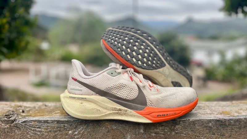 Nike Pegasus 41 — durable classic with a lively feel