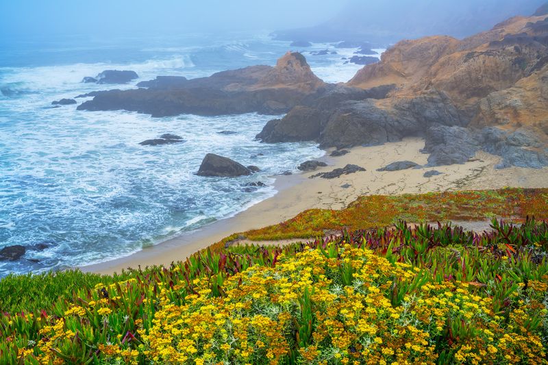 Bodega Bay, California
