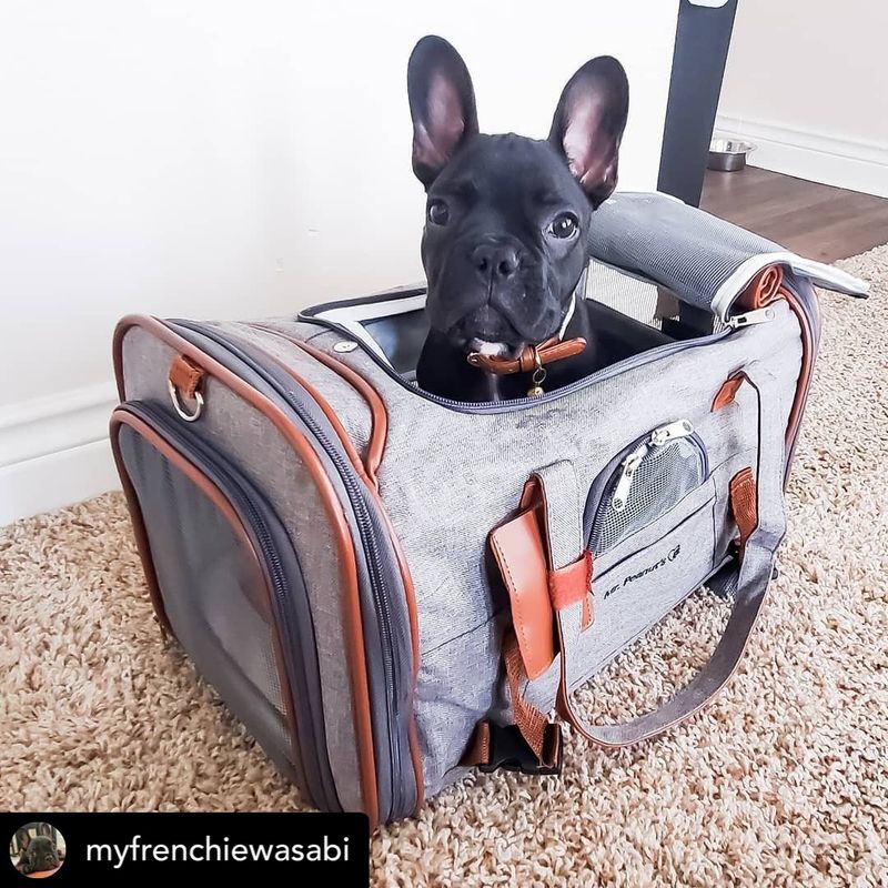 Mr. Peanut's Gold Series Carrier