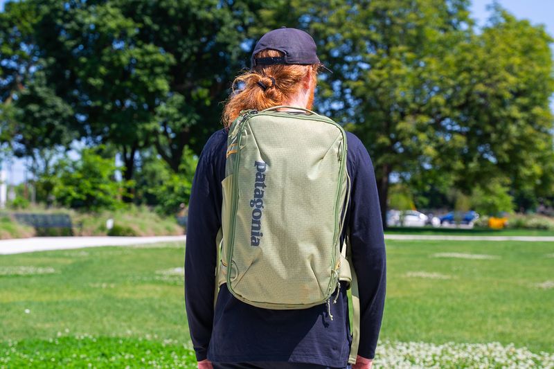 Patagonia Black Hole Mini MLC 30 L