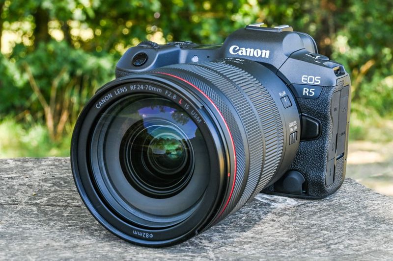 Canon EOS R5 — still winning wildlife awards in 2025