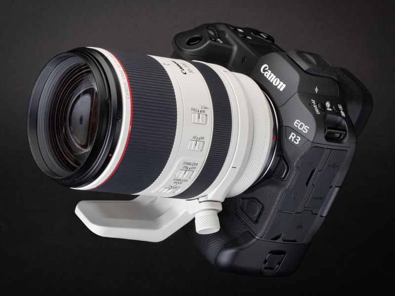Canon EOS R3 — the action specialist with Eye Control AF
