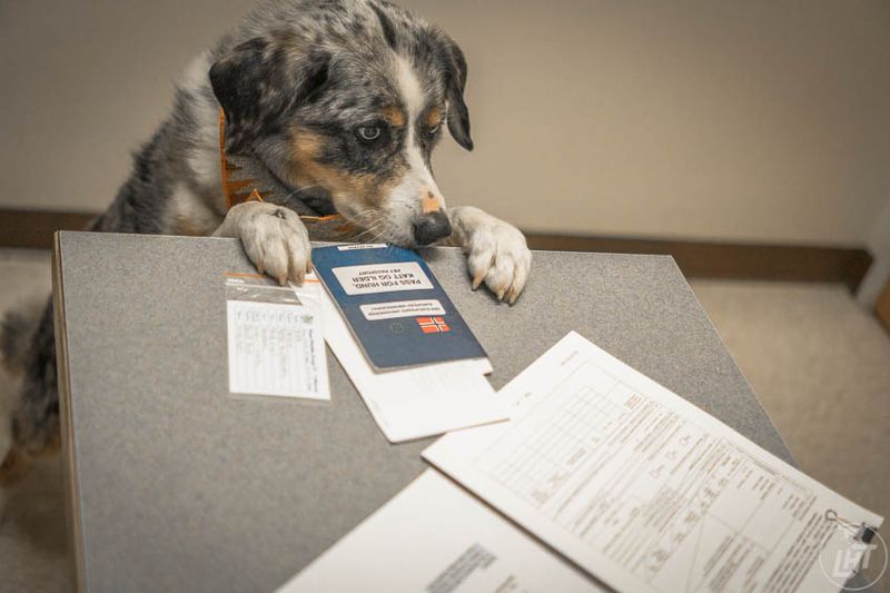 Handle Paperwork & Permits Ahead of Time