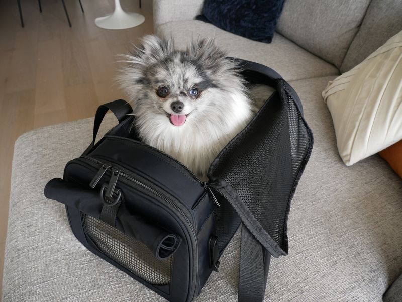 Away The Pet Carrier