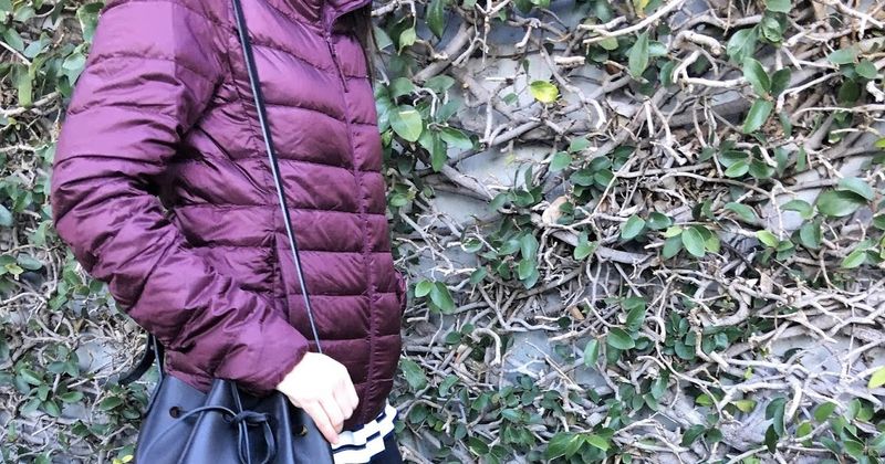 Uniqlo Ultra Light Down Jacket (Petite-Friendly Fit)