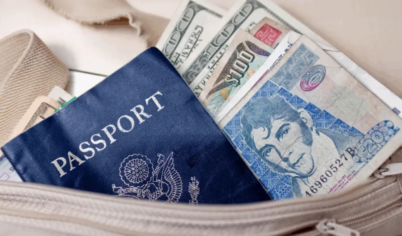 Emergency cash + ID copy (laminated)