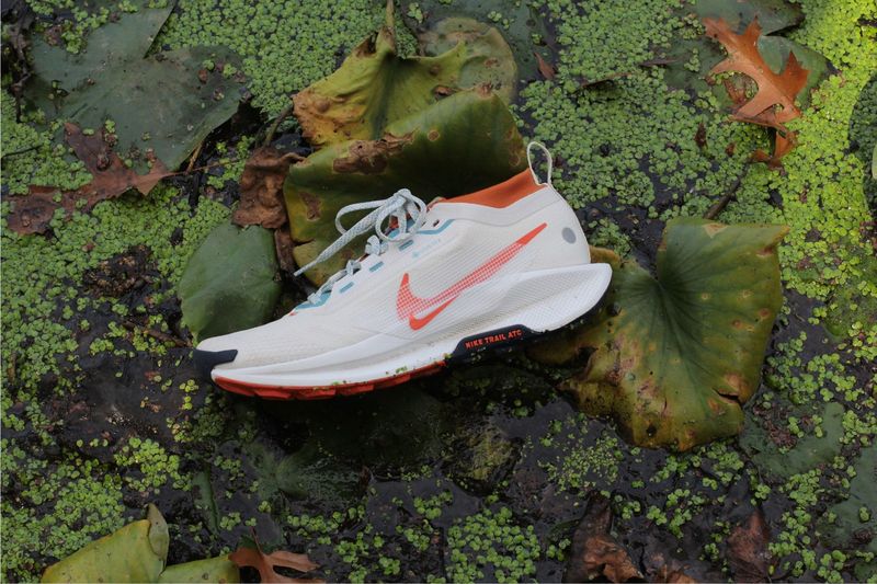 Nike Pegasus Trail 5 (with GTX option)