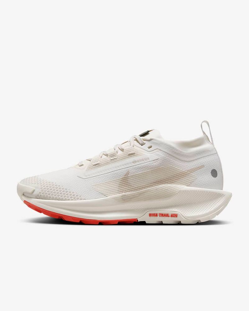 Nike Pegasus Trail 5 GTX — lighter than non-GTX version