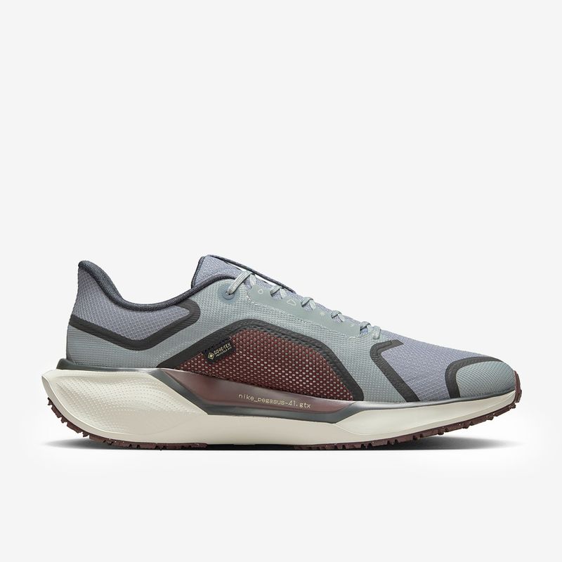 Nike Pegasus 41 GTX — Wet, wintry pavements