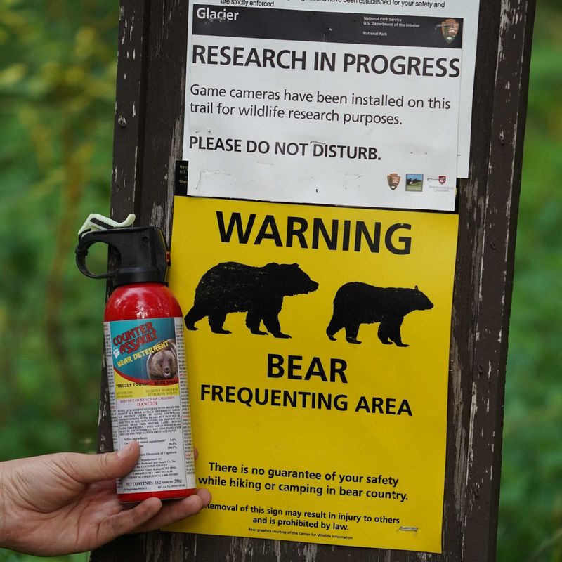 Encounters with Wildlife