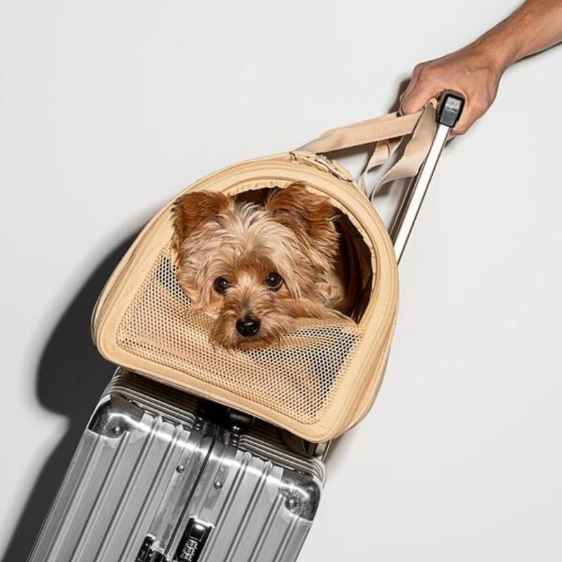 Wild One Travel Carrier