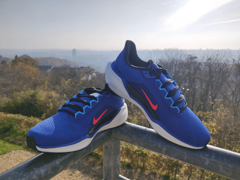 Nike Pegasus 41