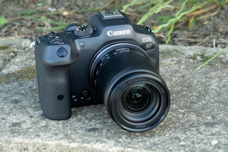 Canon EOS R7 + 100-500mm Lens