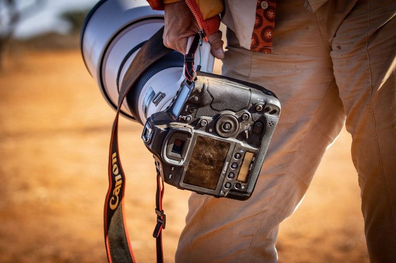 Canon EOS-1D X Mark III + Telephoto Lens