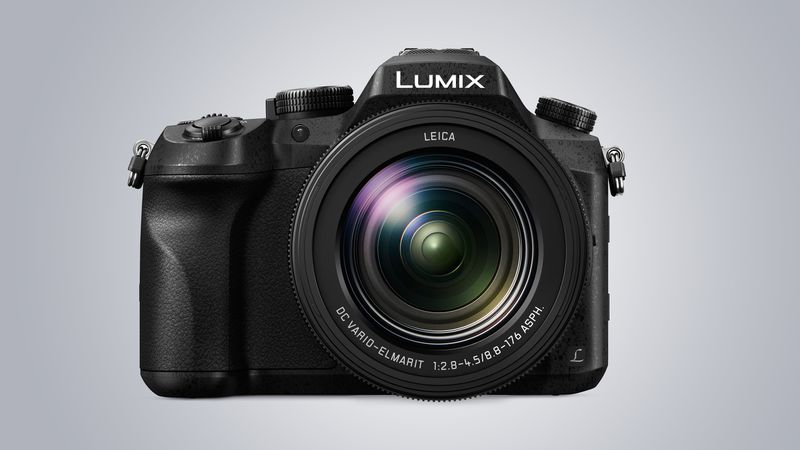 Panasonic LUMIX FZ2500: One-Lens Wonder