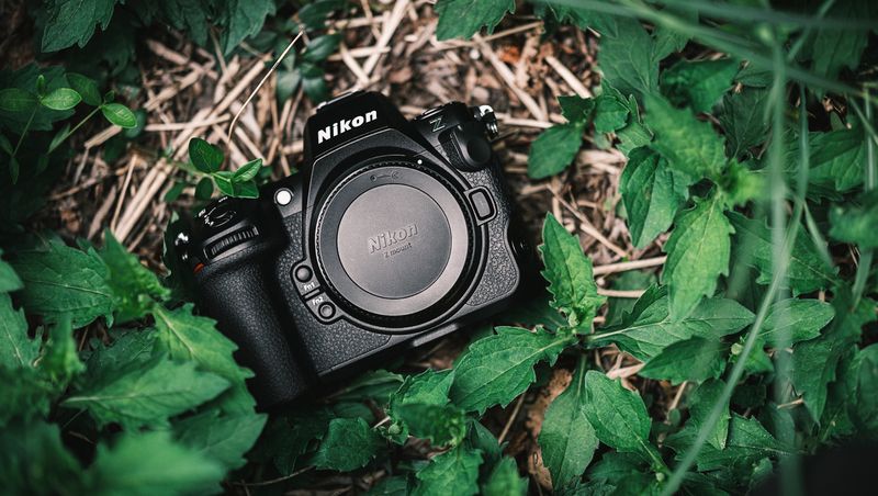 Nikon Z8 — top image quality without the Z9's heft