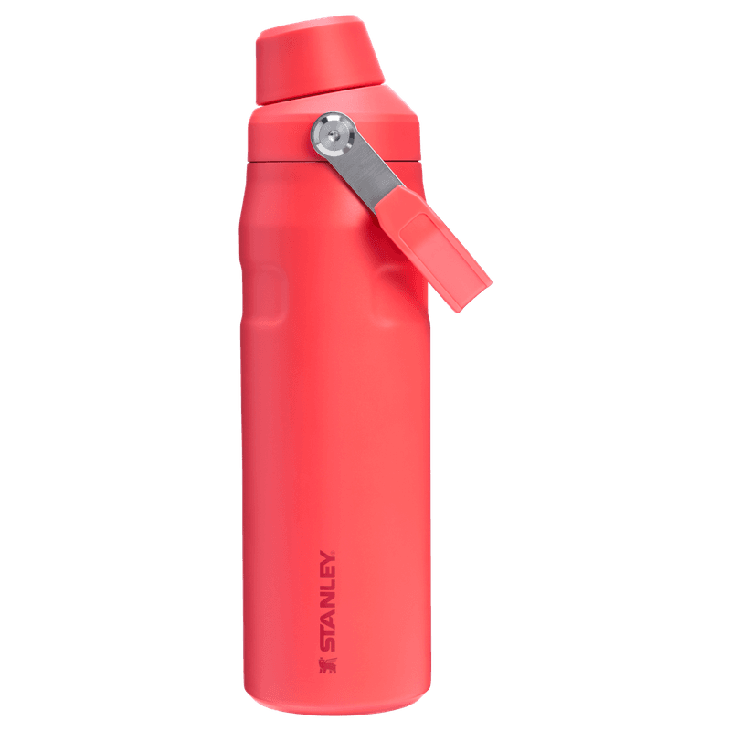 Stanley IceFlow Tumbler