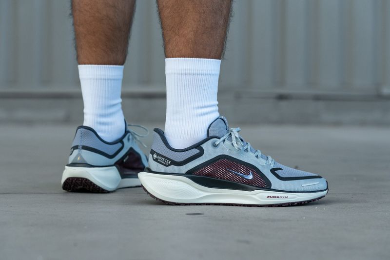 Nike Pegasus 41 GTX — ≈ 11.1 oz / 315 g
