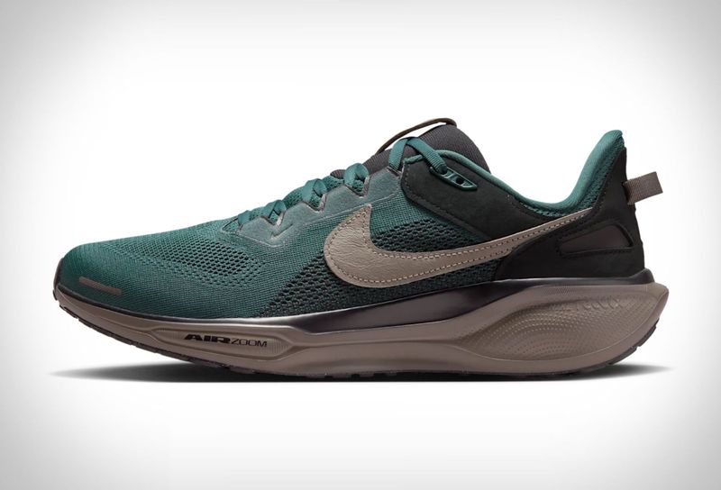 Nike Air Zoom Pegasus: The Timeless Traveler