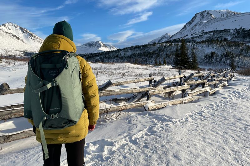 Osprey Porter 46 Travel Pack