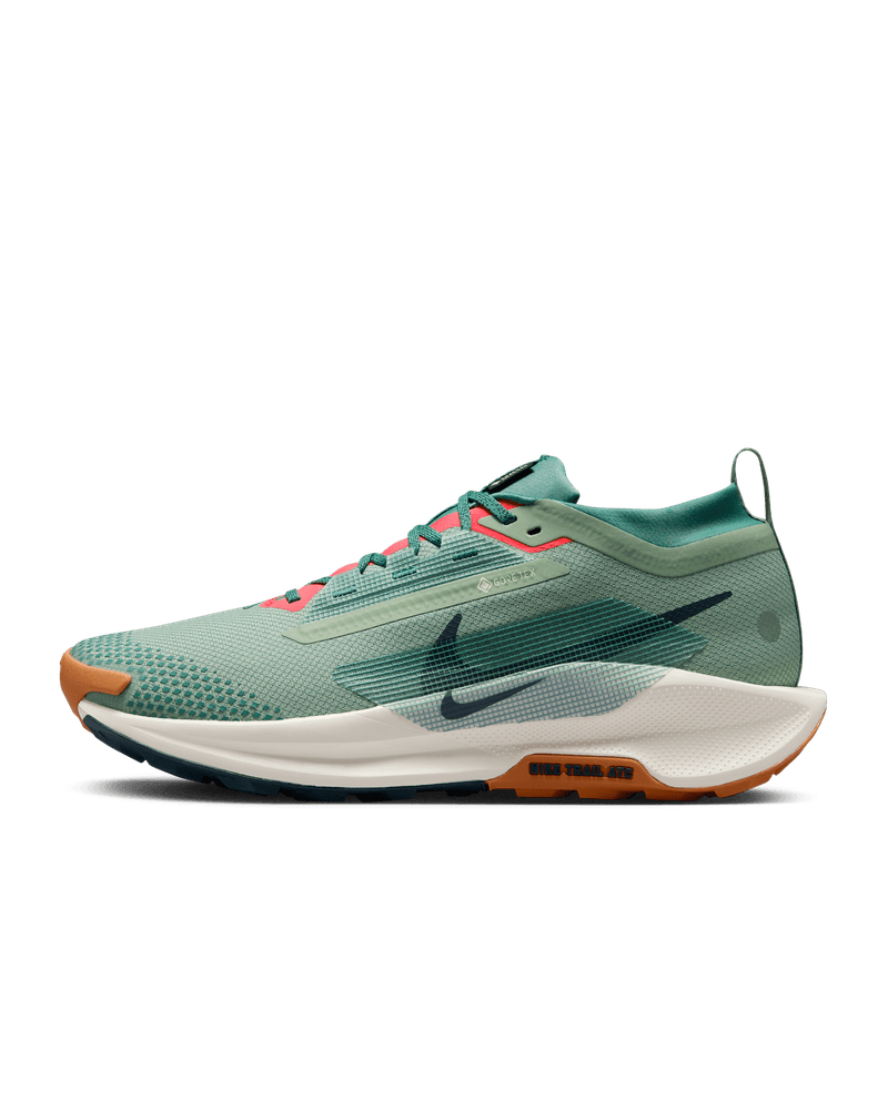 Nike Pegasus Trail 5 GTX