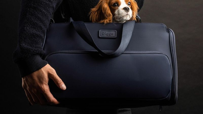 Diggs Passenger Travel Carrier