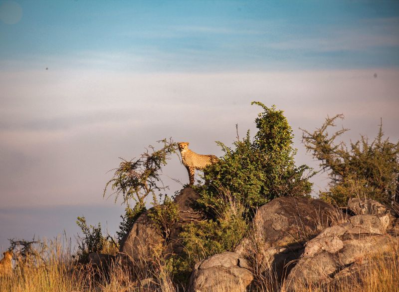 Gondwana Ecotours