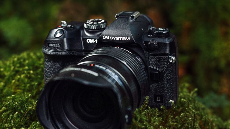 OM System OM-1 + 300mm Equivalent Lens