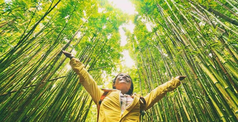 Ethical Consumer – Travel Guide
