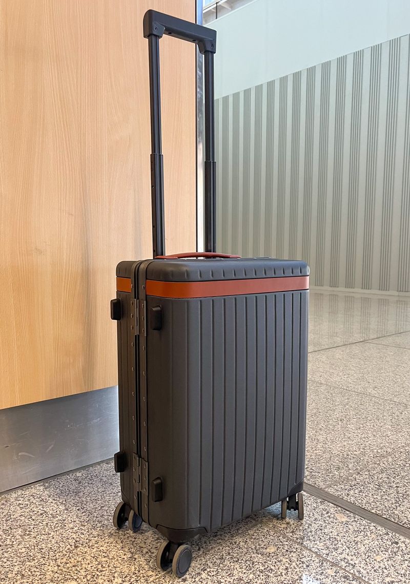 Carl Friedrik The Carry-On