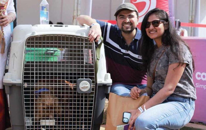 Choose the Right Travel Crate Early & Train Your Pet