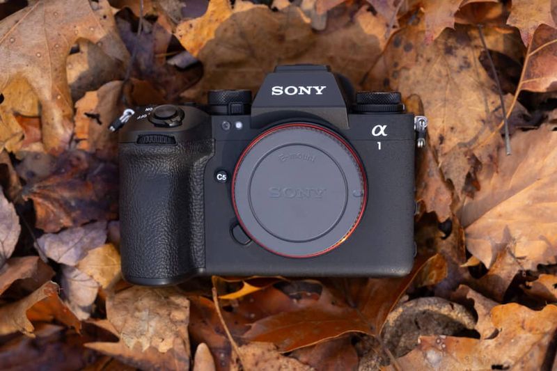 Sony A1
