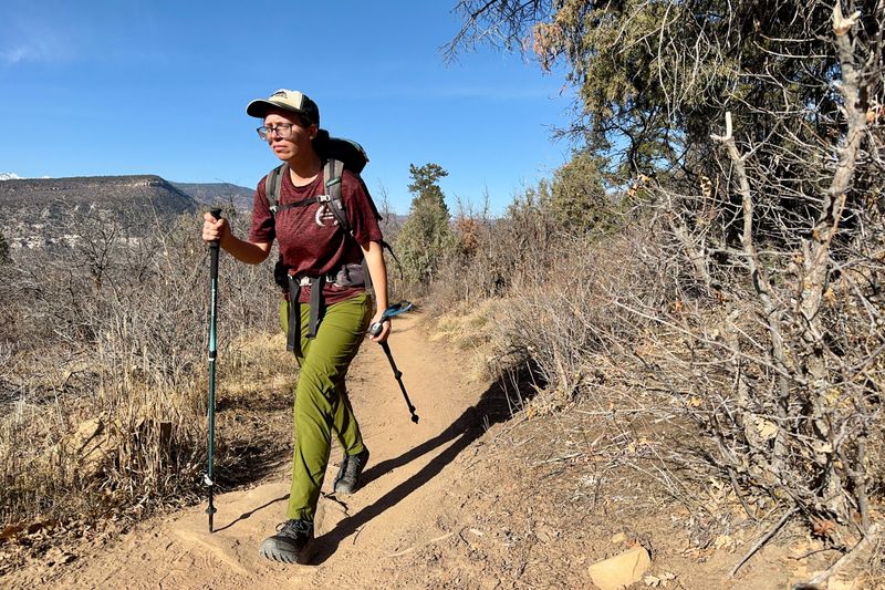 Trekking Poles