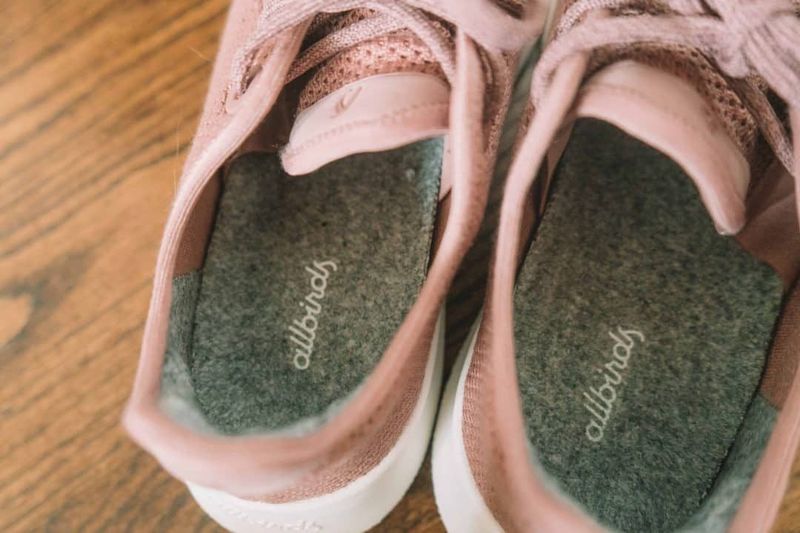 Allbirds Tree Runners