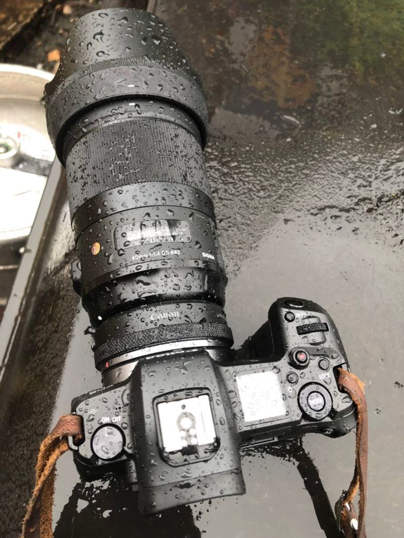 Weather Sealing and Durability