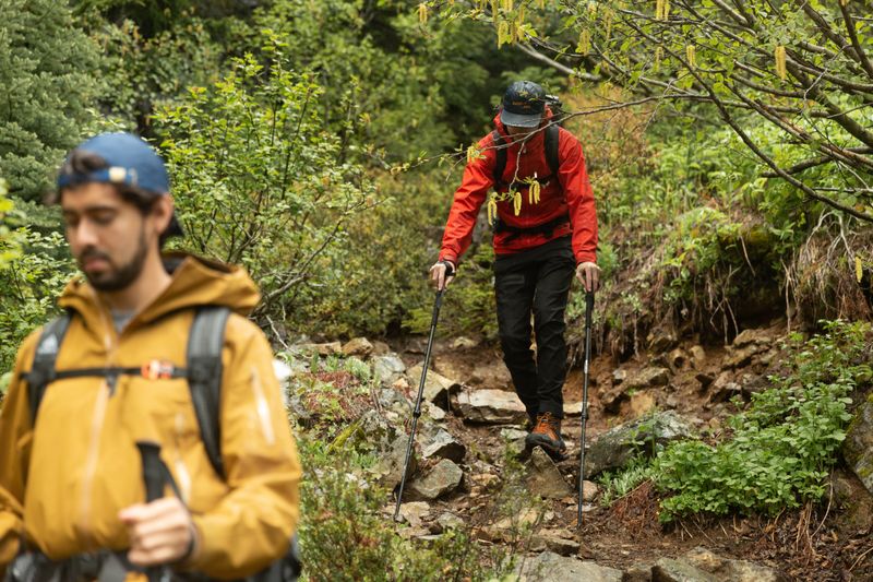 Trekking Poles (Your Knees Will Thank You Later)