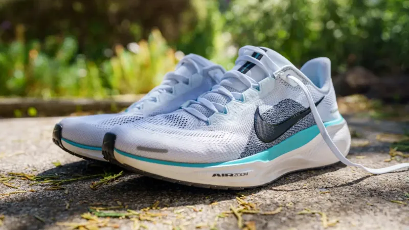 Nike Pegasus 41