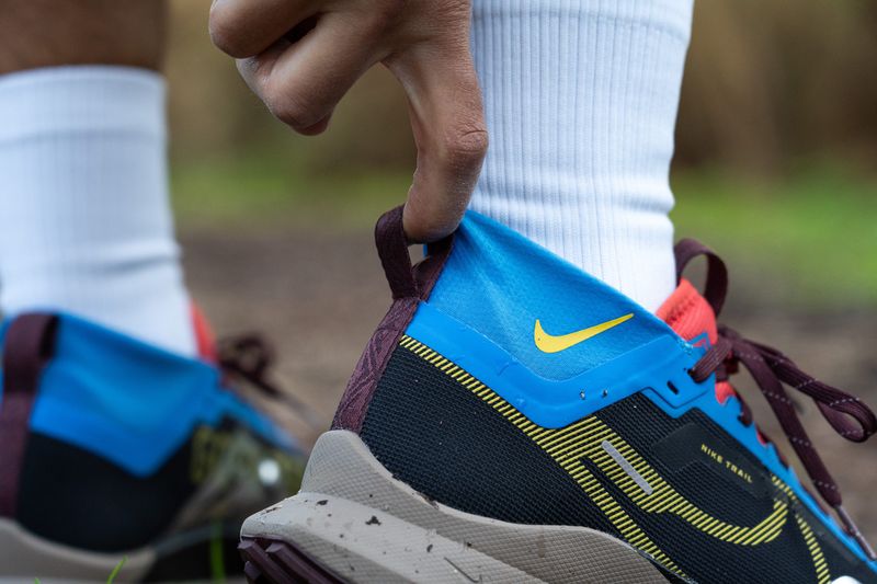 Nike Pegasus Trail 4 GTX