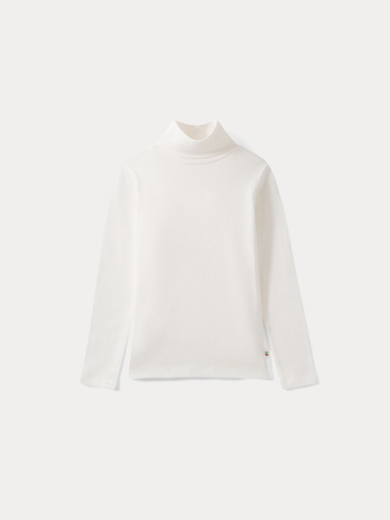 Long-Sleeve Top, Thin Sweater, or Turtleneck