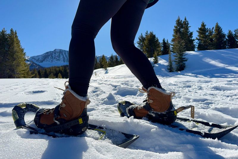 Oboz Bridger 7 Inch Insulated Waterproof Boot
