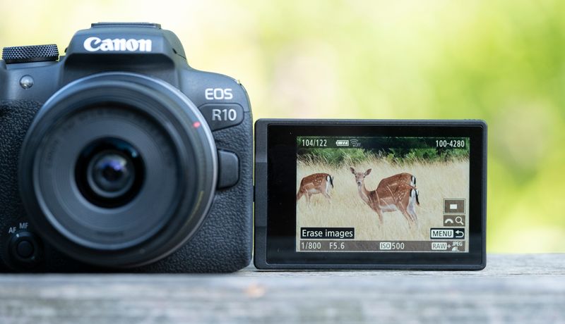 Canon EOS R10 – Lightweight Mirrorless That Punches Above Its Class